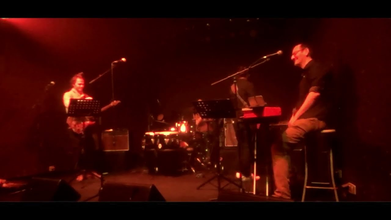 Une nuit sur son épaule — Véronique Sanson | Reprise en jam à Colmar